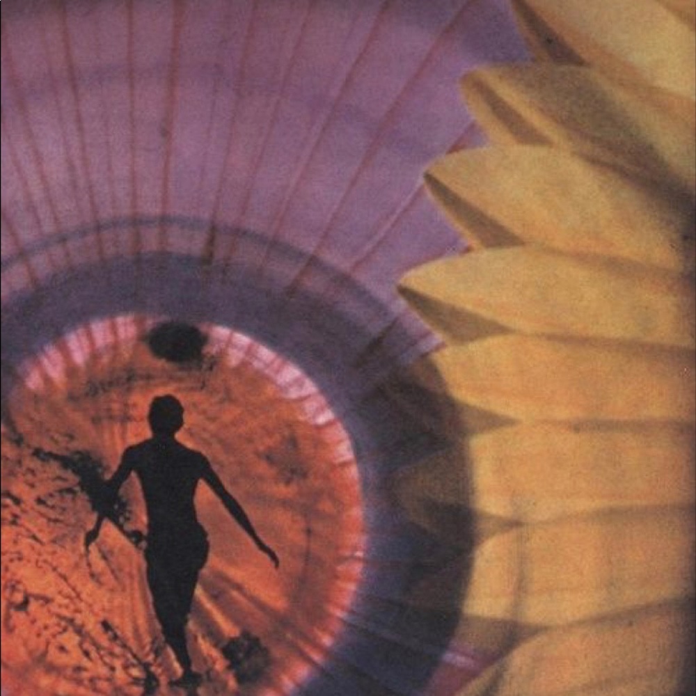 Meet your Posher, Lilli